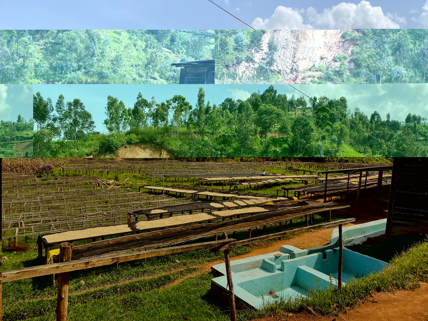 Rwanda Horizon Natural - Espresso