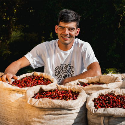 Brazil Terra Nova - Espresso