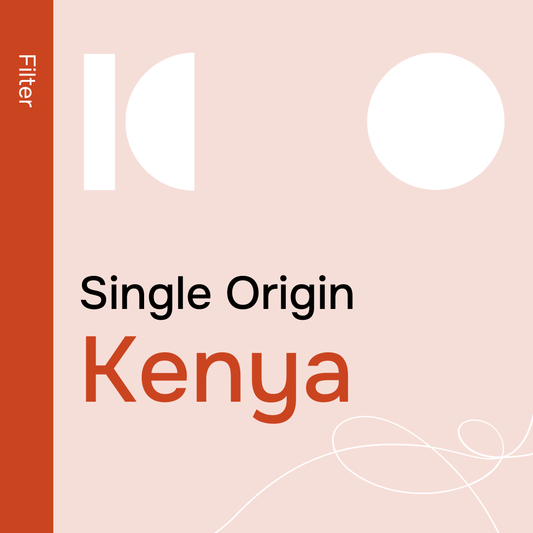 Kenya Gakuyu-ini - Filter