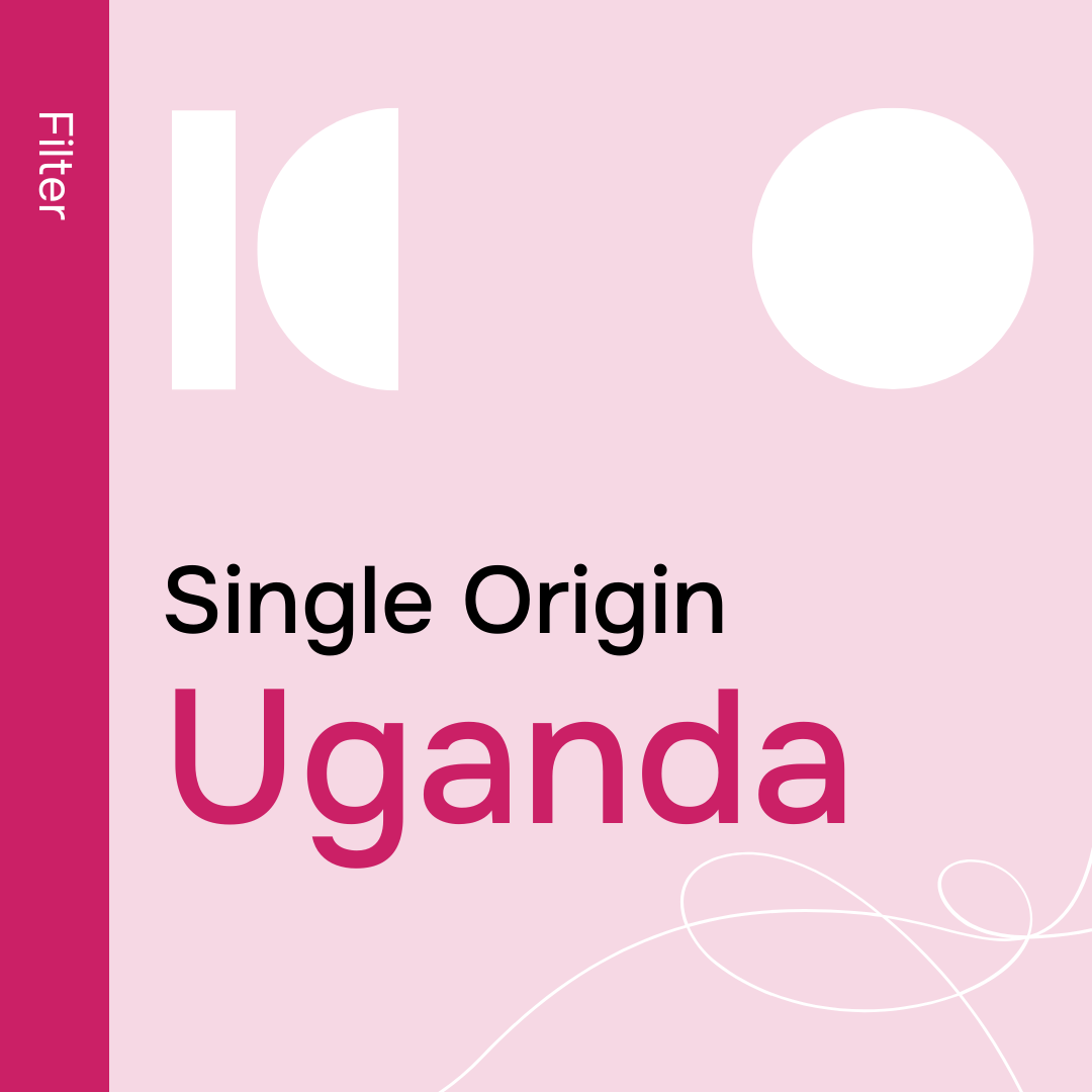 Uganda Sipi Falls Organic - Filter