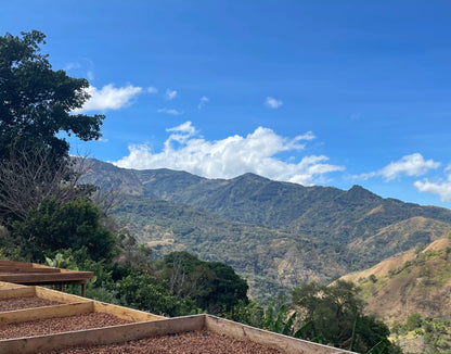 Costa Rica Finca Parritilla - Espresso
