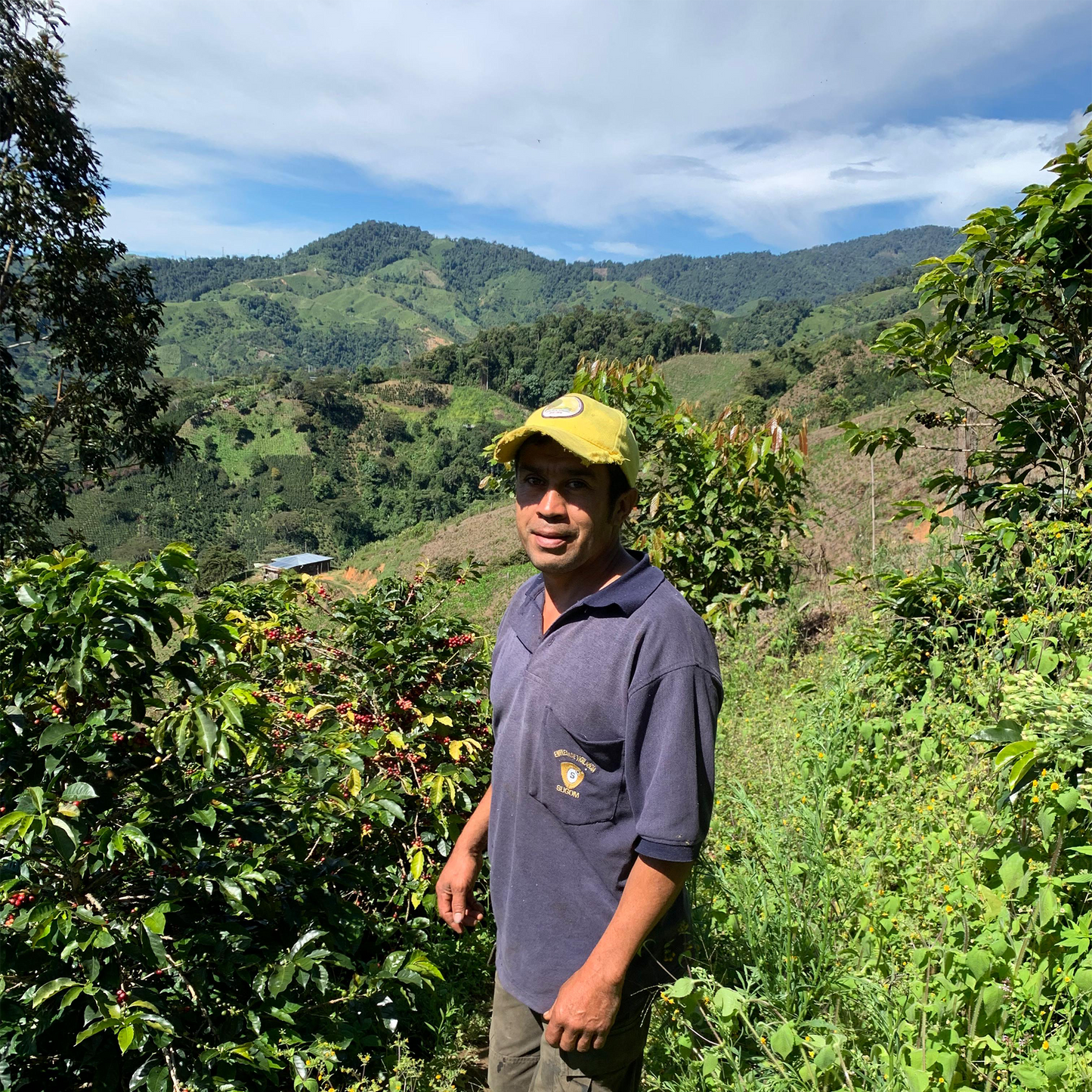 Colombia El Indio - Filter